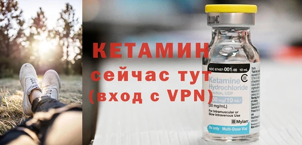 прущие грибы Верея