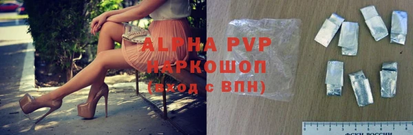 прущие грибы Верея