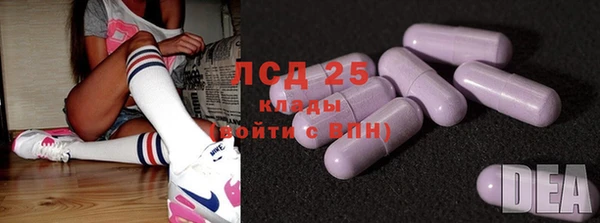 прущие грибы Верея
