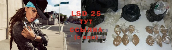 прущие грибы Верея