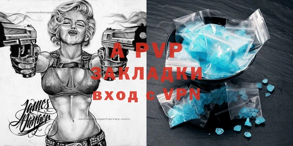 прущие грибы Верея