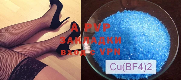 прущие грибы Верея