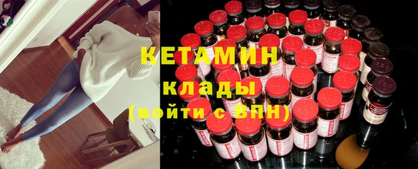 прущие грибы Верея