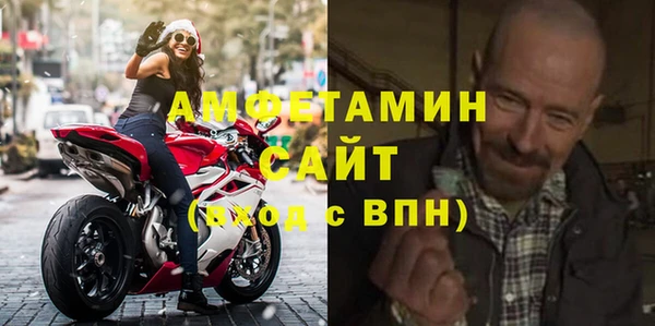 прущие грибы Верея