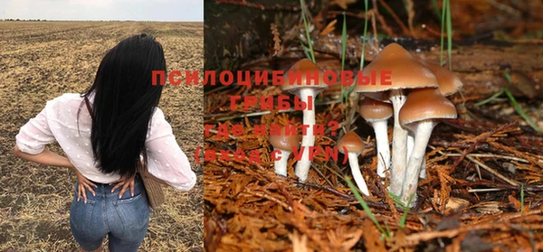 ешки Верхнеуральск